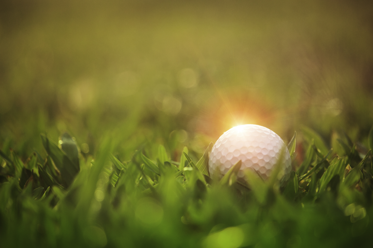 Dreamstime-Ball on Green Lawn-resized2
