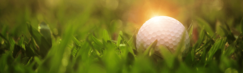 Dreamstime-Ball on Green Lawn-resized3